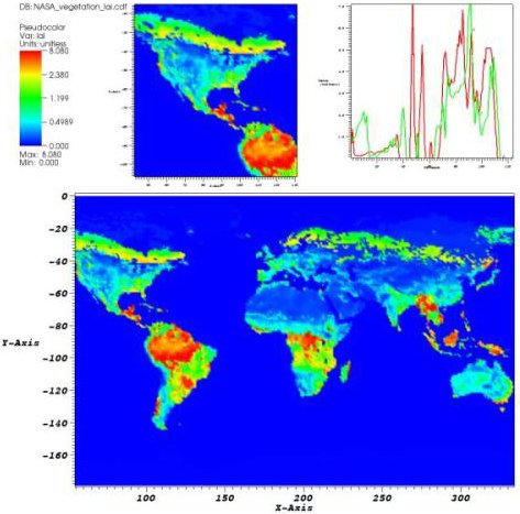 NASA map of vegetation
